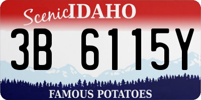 ID license plate 3B6115Y