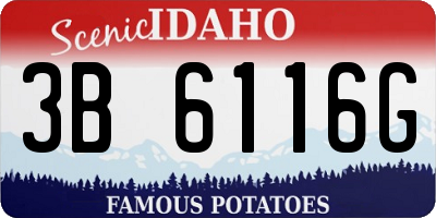 ID license plate 3B6116G