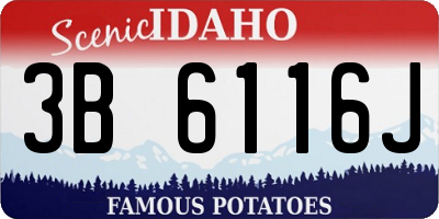 ID license plate 3B6116J