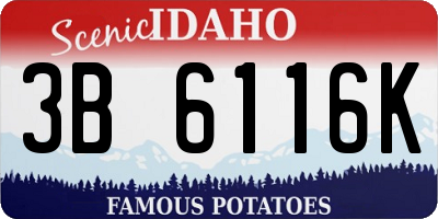 ID license plate 3B6116K
