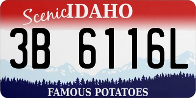 ID license plate 3B6116L