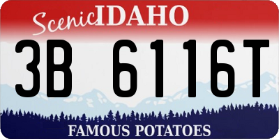 ID license plate 3B6116T
