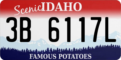 ID license plate 3B6117L