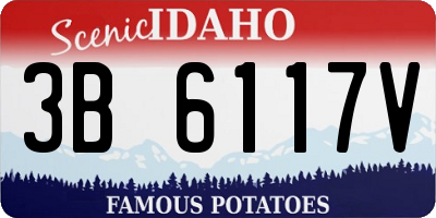 ID license plate 3B6117V