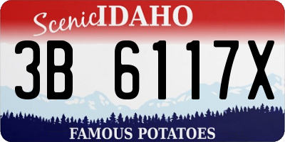 ID license plate 3B6117X