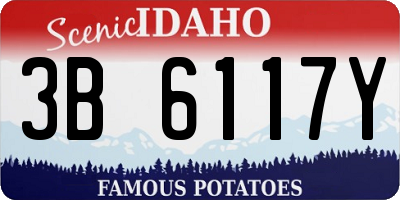 ID license plate 3B6117Y