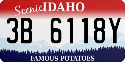 ID license plate 3B6118Y