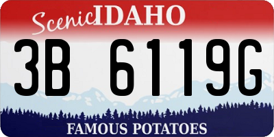 ID license plate 3B6119G