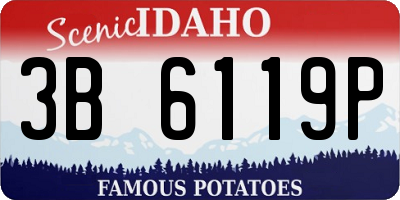ID license plate 3B6119P