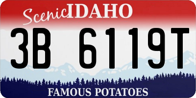 ID license plate 3B6119T