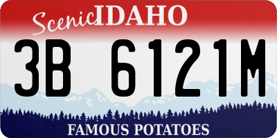 ID license plate 3B6121M