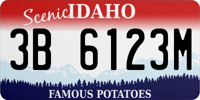 ID license plate 3B6123M