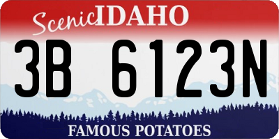 ID license plate 3B6123N