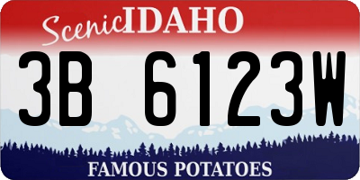 ID license plate 3B6123W