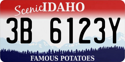 ID license plate 3B6123Y