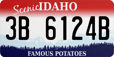 ID license plate 3B6124B