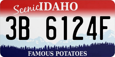 ID license plate 3B6124F