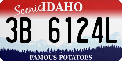 ID license plate 3B6124L
