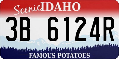 ID license plate 3B6124R