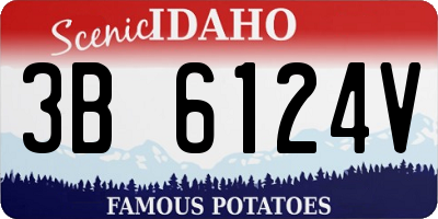 ID license plate 3B6124V