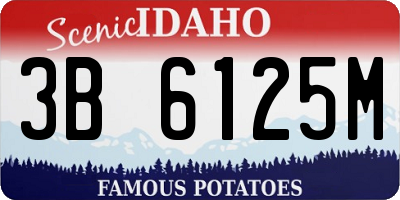 ID license plate 3B6125M
