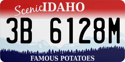 ID license plate 3B6128M