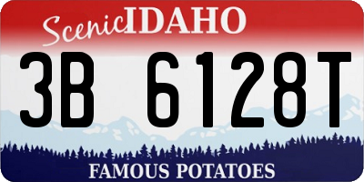 ID license plate 3B6128T