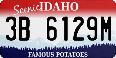 ID license plate 3B6129M