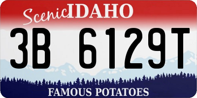 ID license plate 3B6129T