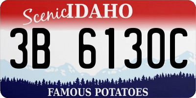 ID license plate 3B6130C