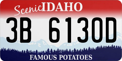 ID license plate 3B6130D