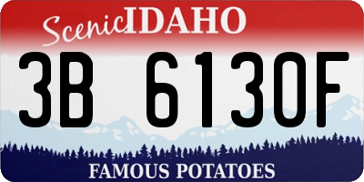 ID license plate 3B6130F