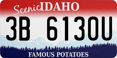 ID license plate 3B6130U