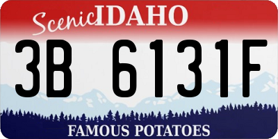ID license plate 3B6131F