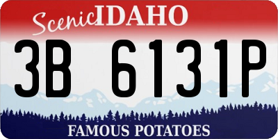 ID license plate 3B6131P