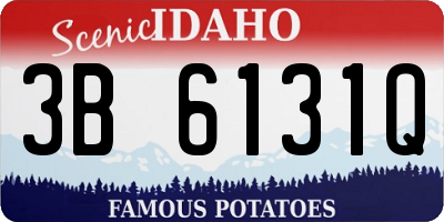 ID license plate 3B6131Q