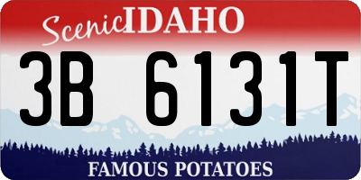 ID license plate 3B6131T