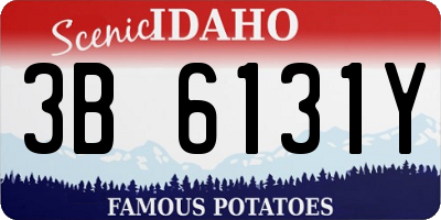 ID license plate 3B6131Y