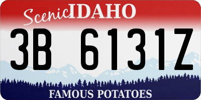 ID license plate 3B6131Z