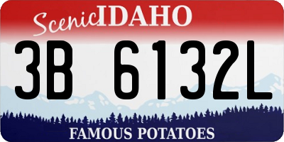 ID license plate 3B6132L