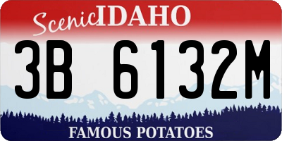 ID license plate 3B6132M