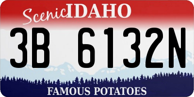 ID license plate 3B6132N