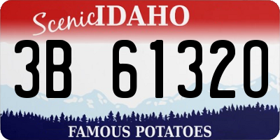 ID license plate 3B6132O