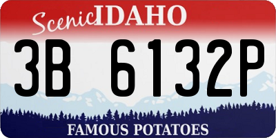 ID license plate 3B6132P