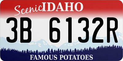 ID license plate 3B6132R