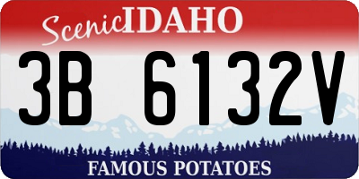ID license plate 3B6132V