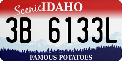 ID license plate 3B6133L