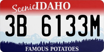 ID license plate 3B6133M