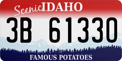 ID license plate 3B6133O