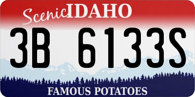 ID license plate 3B6133S